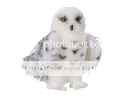 wizard snowy owl