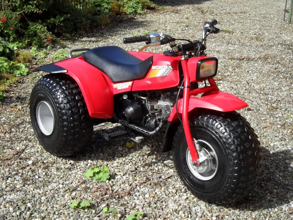 Atc 125m - Honda Foreman Forums : Rubicon, Rincon, Rancher and Recon Forum