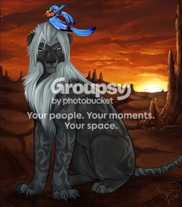 User Image